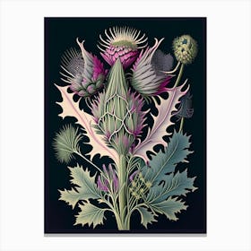 Thistle Wildflower Vintage Botanical 1 Canvas Print