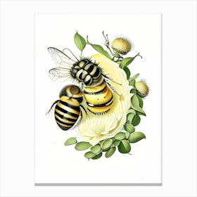 Larva Bees 1 Vintage Canvas Print