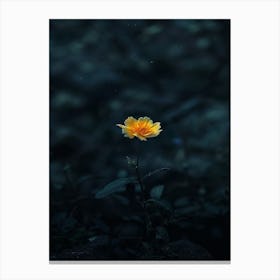 Dark Flower 35 Canvas Print