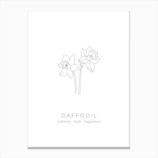 Daffodil Birth Flower Canvas Print