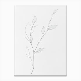 Branch Of Leaves 1 Canvas Print