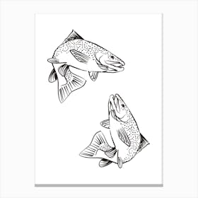 Two Trout Jumping Vector Illustration Canvas Print