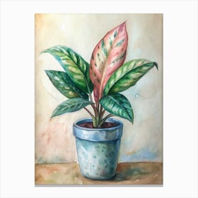 Potted Plant 2 Canvas Print