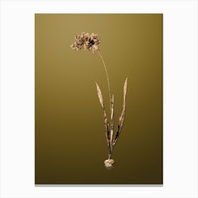 Gold Botanical Ixia Filiformis on Dune Yellow Canvas Print