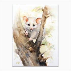 Light Watercolor Painting Of A Climbing Possum 2 Canvas Print