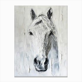 Horse Head 5 Canvas Print