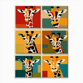 Giraffes Collage Photoshoot Canvas Print