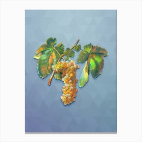 Vintage Trebbiano Grapes Botanical Art on Summer Song Blue n.1548 Canvas Print