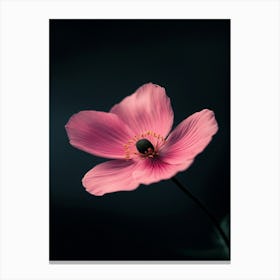 Pink Poppy Flower Canvas Print