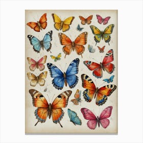 Butterflies Canvas Print