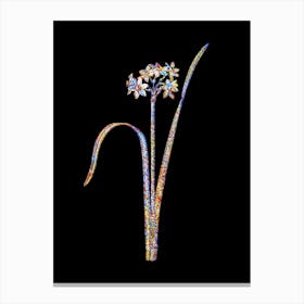 Stained Glass Cowslip Cupped Daffodil Mosaic Botanical Illustration on Black n.0090 Canvas Print
