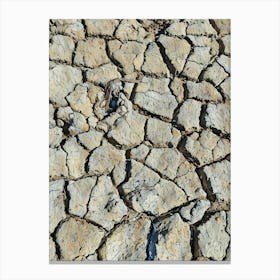 Cracked Earth Texture in Camargue. The image showcases a close-up view of cracked earth, revealing a network of intricate fissures and crevices. The dominant color is a muted gray, with subtle variations in shade and texture. The cracks are deep and pronounced, creating a sense of dryness and aridity. The overall mood is one of desolation and harshness, highlighting the effects of drought or lack of moisture. 1 Canvas Print