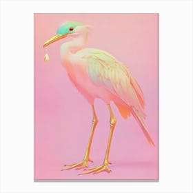 Bird With A Beak Canvas Print