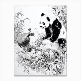 Giant Panda And A Blood Pheasant Ink Illustration 3 Canvas Print