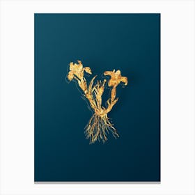 Vintage Sand Iris Botanical in Gold on Teal Blue n.0259 Canvas Print