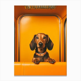 A Dachshund Dog 8 Canvas Print