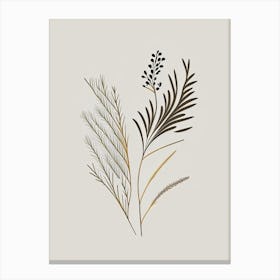 Fennel Seed Spices And Herbs Retro Minimal 2 Canvas Print