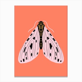 Mystical Moth Canvas Print