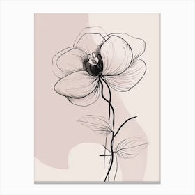 Line Art Orchids Flowers Illustration Neutral 16 Canvas Print