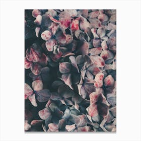 Flowers - Moody Blues Canvas Print