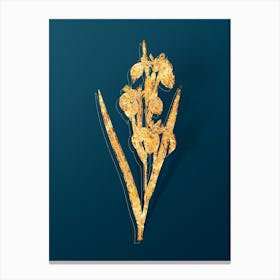 Vintage Irises Botanical in Gold on Teal Blue Canvas Print
