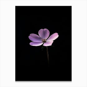 Purple Flower On A Black Background Canvas Print