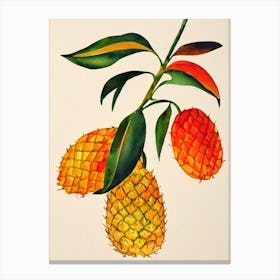 Pineapple 1 Watercolour Fruit Painting Fruit Canvas Print