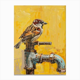 Sparrow On Faucet Canvas Print