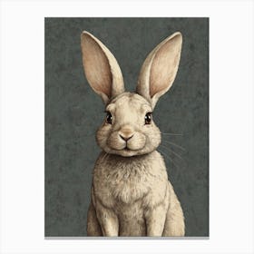 Rabbit 2 Canvas Print