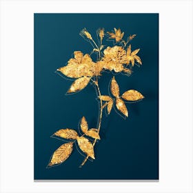 Vintage Hudson Rosehip Botanical in Gold on Teal Blue n.0129 Canvas Print