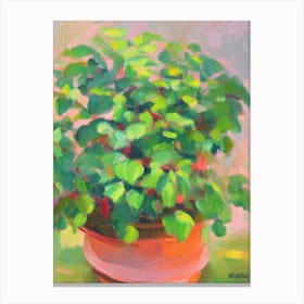 Fittonia Impressionist Painting Plant Canvas Print