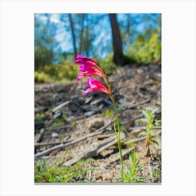 Pink Lily Of The Valley 20210508 18ppub Canvas Print