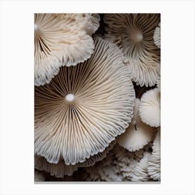Mushroom Photography 2 Canvas Print
