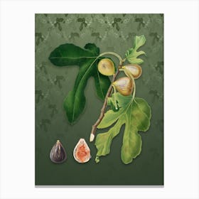 Vintage Figs Botanical on Lunar Green Pattern Canvas Print