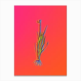 Neon Narrow leaf Blue eyed grass Botanical in Hot Pink and Electric Blue n.0239 Canvas Print