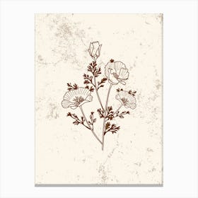 Poppy Flower Vector Illustration 1 Canvas Print