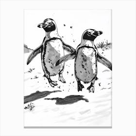 African Penguin Chasing Each Other 1 Canvas Print