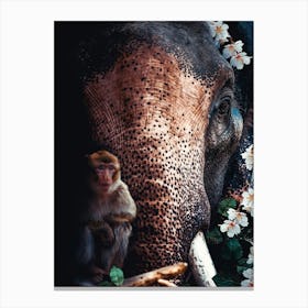 Elephant And Monkey Canvas Print