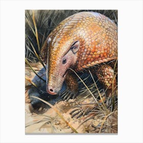 Armadillo Pastel Watercolour 4 Canvas Print