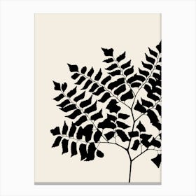 Fern Leaves in Black, Farmhouse Botanical 6 Canvas Print