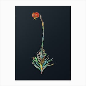 Vintage Scarlet Martagon Lily Botanical Watercolor Illustration on Dark Teal Blue n.0005 Canvas Print