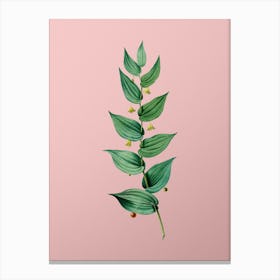 Vintage Twistedstalk Botanical on Soft Pink n.0367 Canvas Print