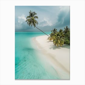 Palm Trees On The Beach Canvas Print