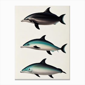Bottlenose Dolphin Vintage Poster Canvas Print