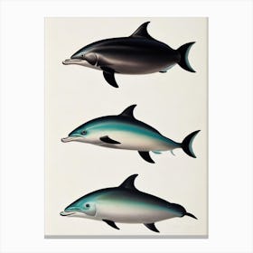 Bottlenose Dolphin Vintage Poster Leinwandbilder