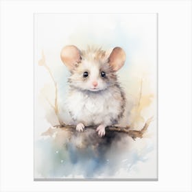 Light Watercolor Painting Of A Western Pygmy Possum 3 Canvas Print