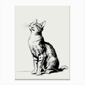 Cat Looking Up 4 Canvas Print