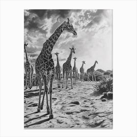 Herd Of Giraffes In The Sun Pencil Drawing 2 Canvas Print