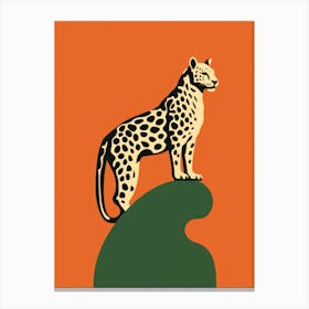 Leopard On A Rock Canvas Print