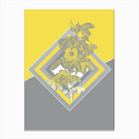 Vintage Single May Rose Botanical Geometric Art in Yellow and Gray n.385 Canvas Print